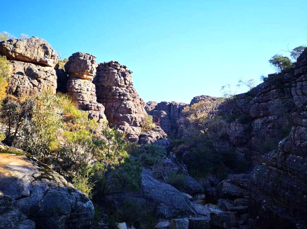 Discover Local Culture through a Guided Tour Experience.